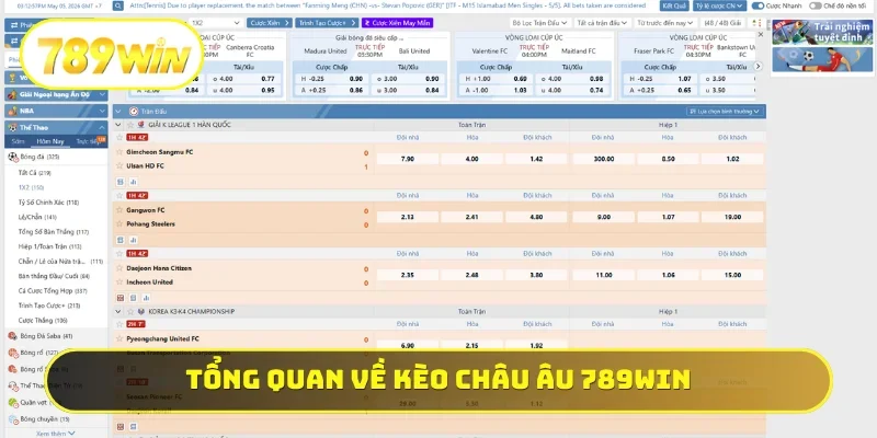 Tổng quan đôi nét về kèo châu Âu 789WIN